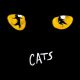 Cats The Musical